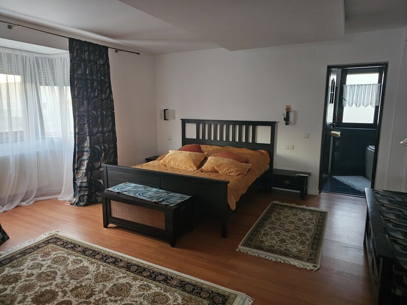 Prelungirea Ghencea, scoala Pro Ingenio duplex de lux complet de inchiriat.